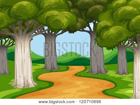 Scene with trees along the road illustration