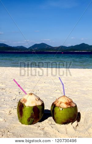 COCKTAIL IN COCONUT