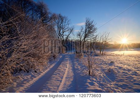 Country Lane Toward The Sun In Winter