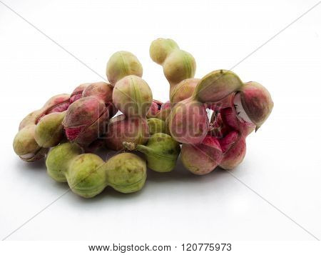 Green manila tamarind fruit of Thailand white background.- isolate.