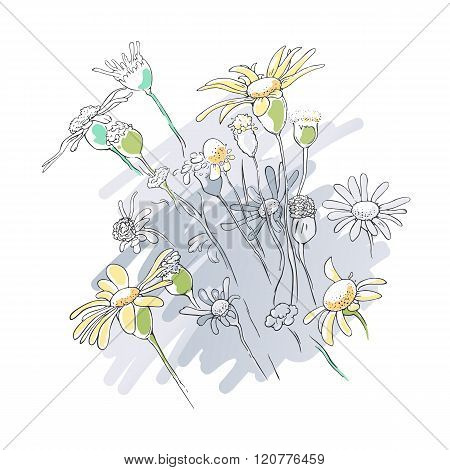 Flowers floral linear background