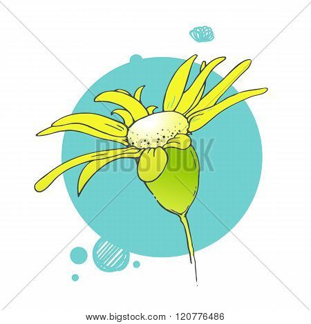 Blooming flower illustration