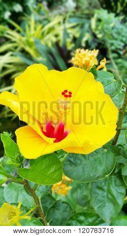 Images, Illustrations & Vectors (Free) - Bigstock