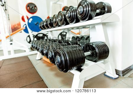 Various Dumbbells In Gym