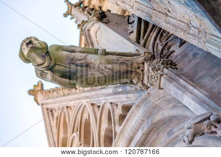 Gargoyle Of Gothic Church In Carcassone