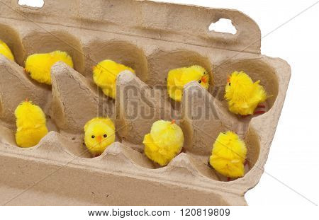 Easter Chicks In An Eggbox