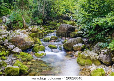 Creek In The Ligurian Alps
