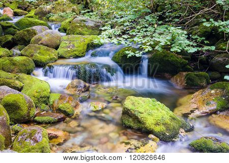 Creek In The Ligurian Alps
