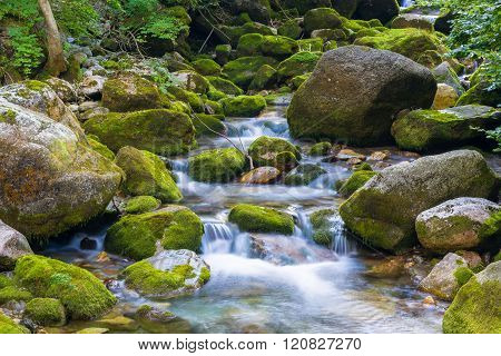 Creek In The Ligurian Alps