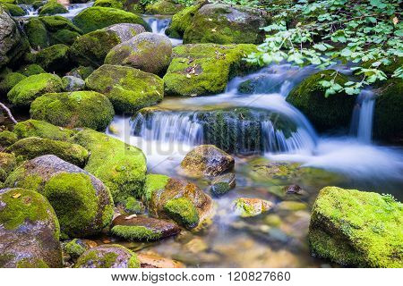 Creek In The Ligurian Alps