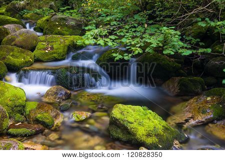 Creek In The Ligurian Alps