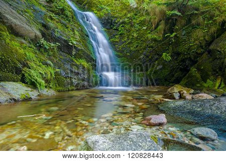 Little Waterfall In Valle Pesio