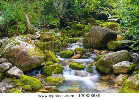 Creek And Little Waterfall In The Ligurian Alps During Summer Season