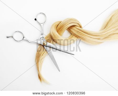Hairdresser's scissors with strand of blonde hair, isolated on white