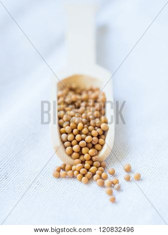 White (yellow) Mustard Seeds