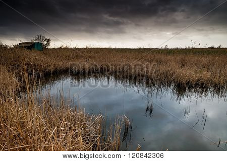 Italy, Tuscany, Lucca, Massaciuccoli Lake