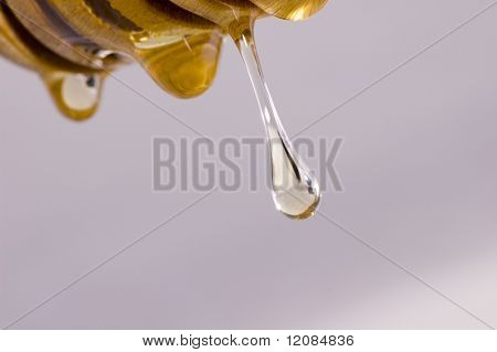 Honung droppar