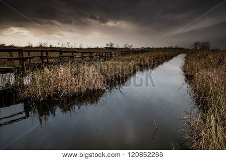 Italy, Tuscany, Lucca, Massaciuccoli Lake