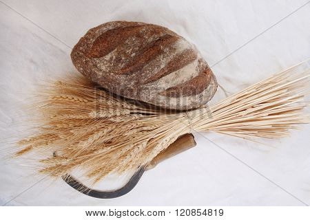 bunch of mown wheat ears with vintage handmade reaper hook sickle and rye dark french fresh bread loaf on white linen tablecloth