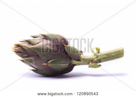 Artichoke On White Background