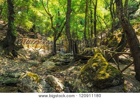 The Valley of the Butterflies (Peta Loudhes) Rhodes Greece Europe