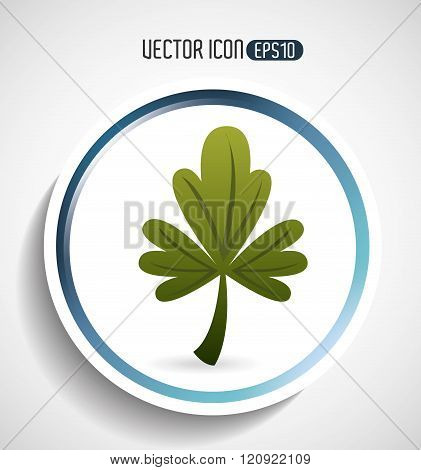 corainder leaf design