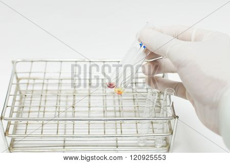 Hand scientist working in laboratory test tube