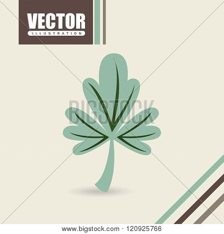 corainder leaf design