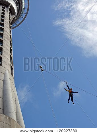 Woman Bungy Jumping From Auckland Sky Tower