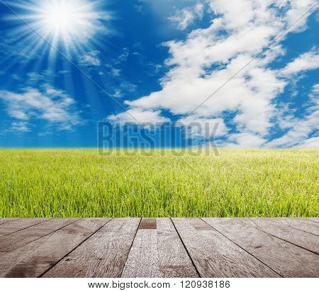 Wood Table Top On Green Gass With Blue Sky And White Cloud