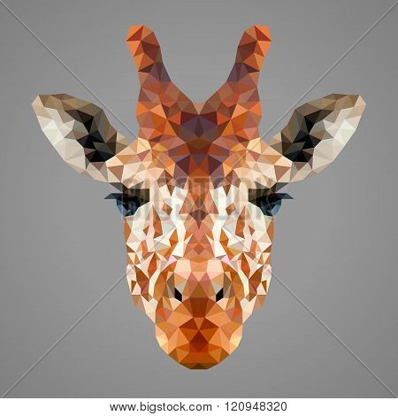 Giraffe low poly portrait