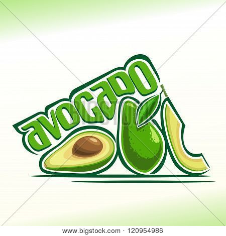 Vector illustration on the theme of avocado