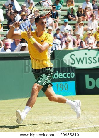Tennis player Bernard Tomic during Davis Cup