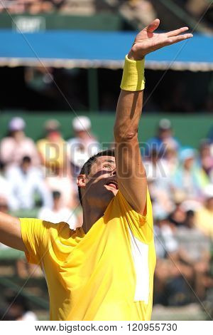 Bernard Tomic During Davis Cup Single