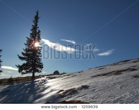Winter am Nachmittag