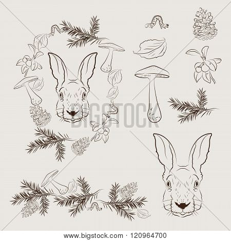 Set of forest elements.