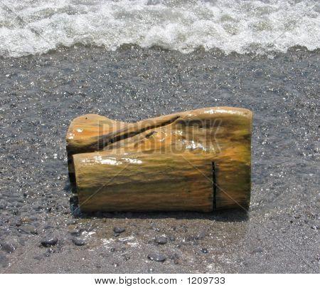 Lakeside Driftwood