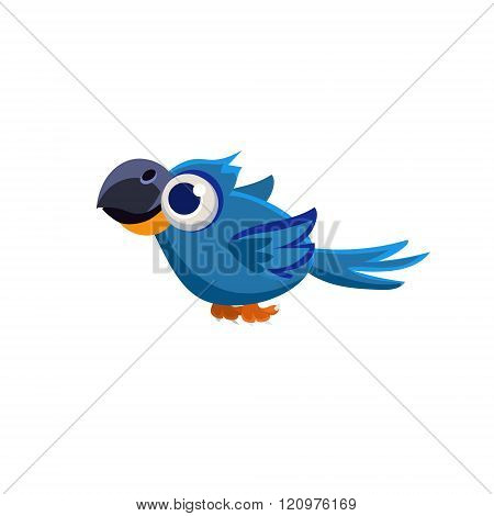 Cute Blue Macaw Parrot