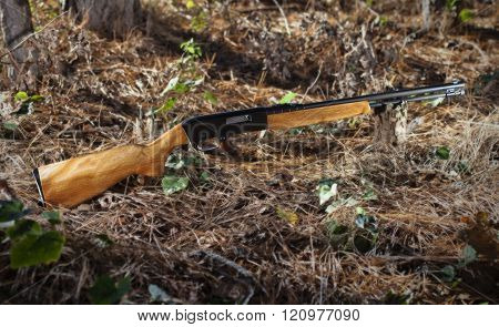 Rimfire Glamor