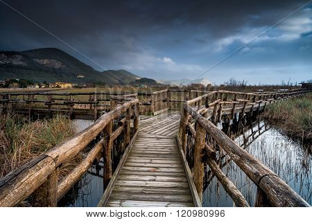 Italy, Tuscany, Lucca, Massaciuccoli Lake