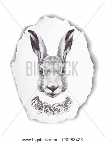 Hand drawn card with roses and rabbit. Vector isolated elements