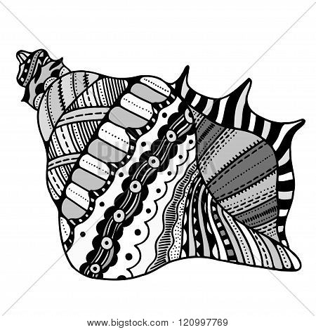 Zentangle Stylized Shell