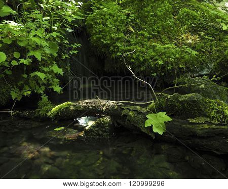 amazing fresh green waterfall in thailand, green leaf