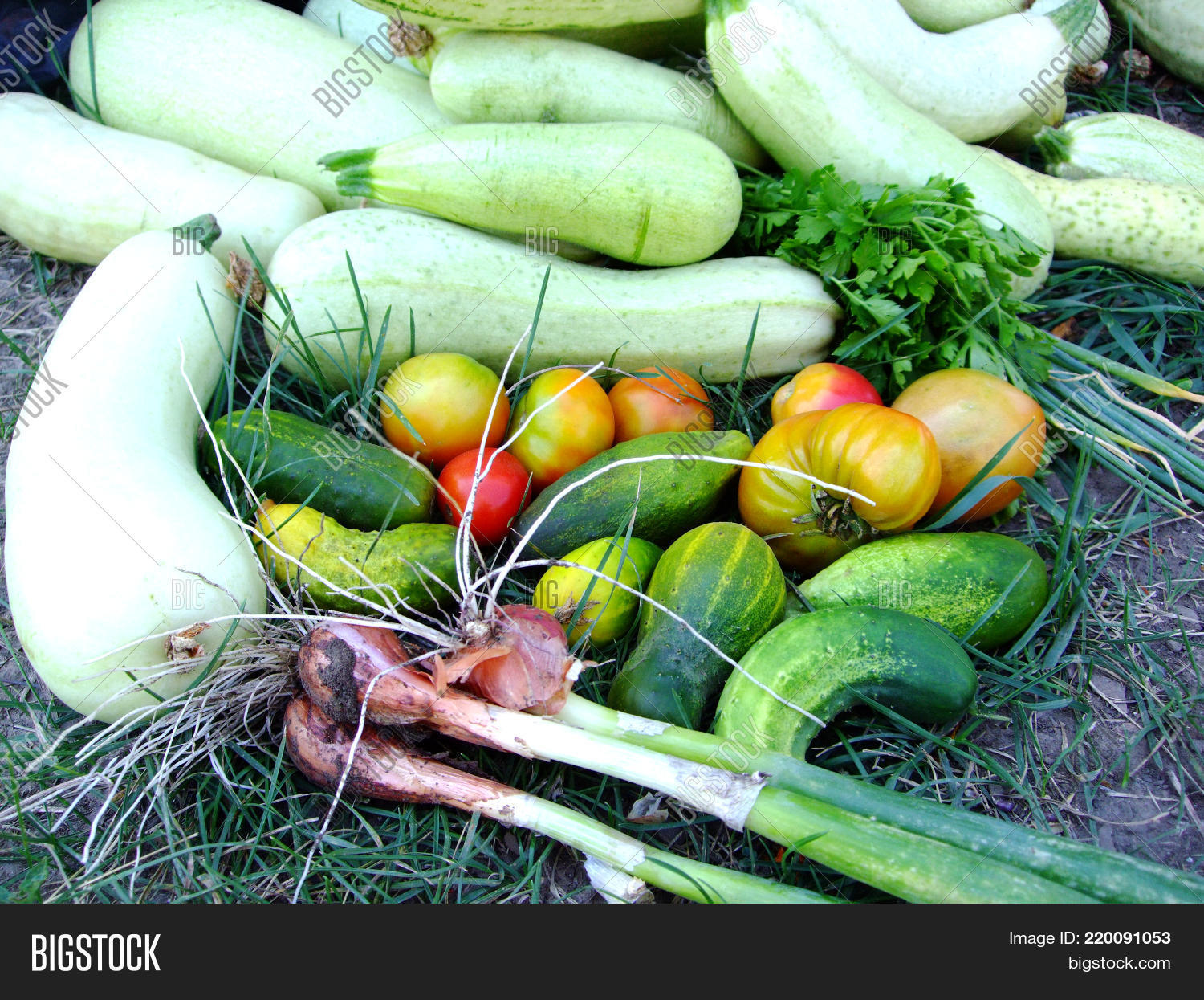 Image Preview