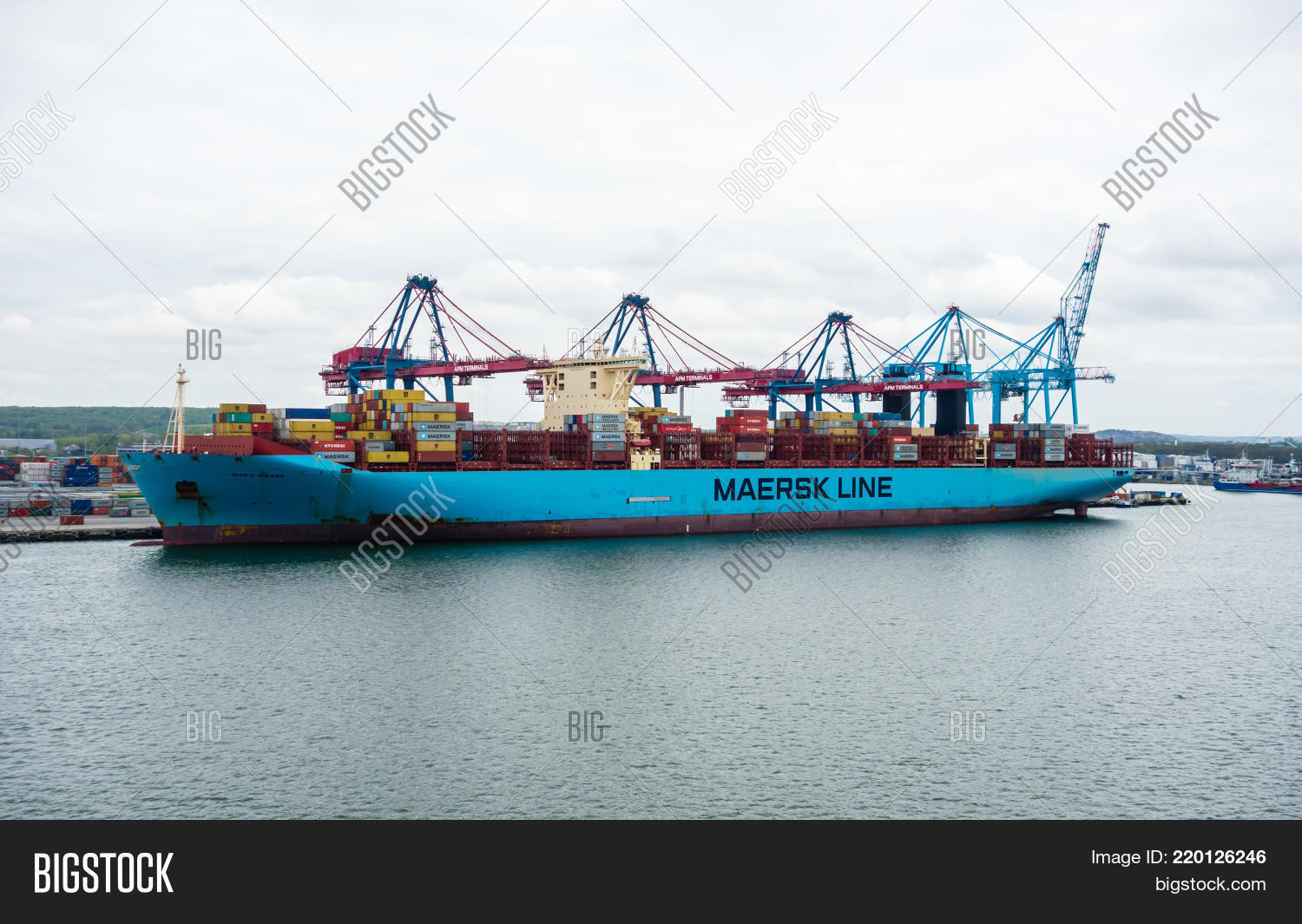 Image Preview