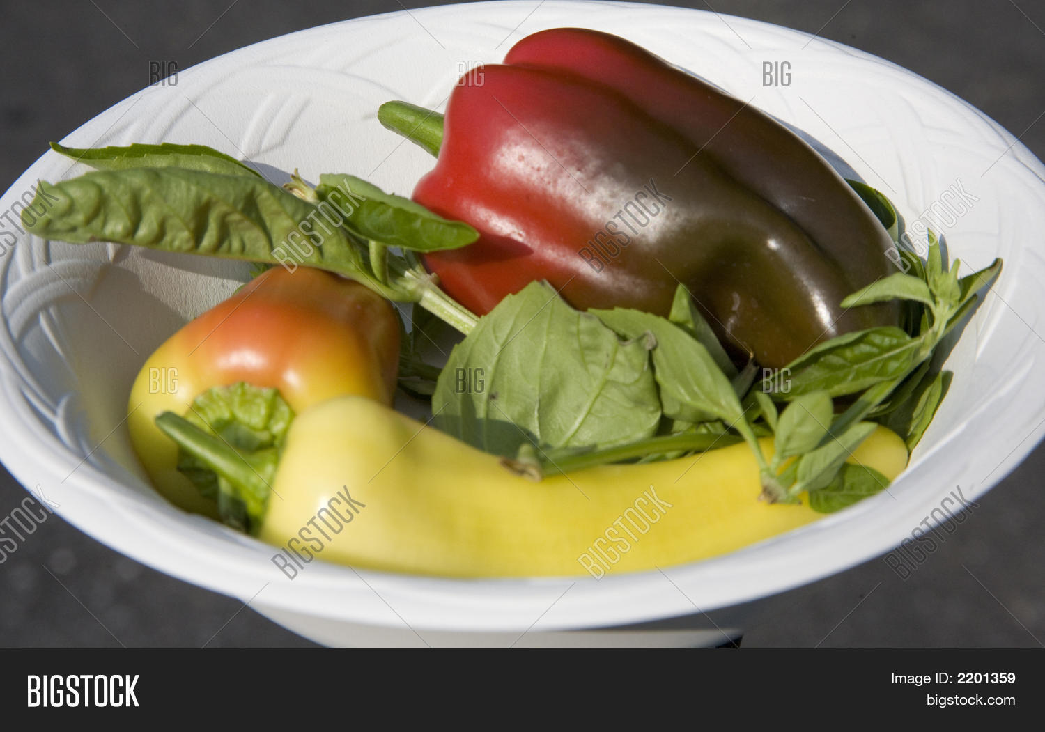 Image Preview