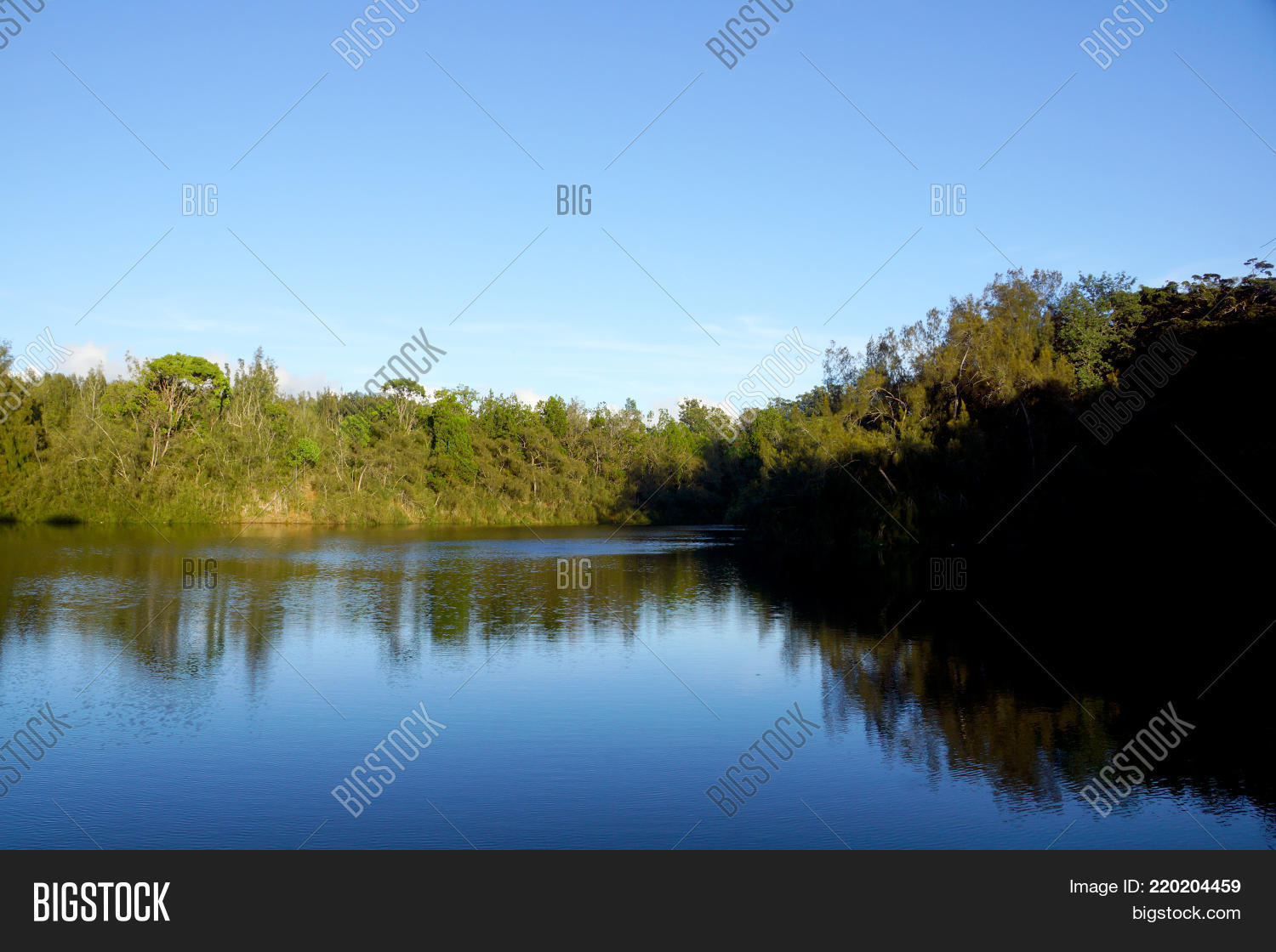 Image Preview