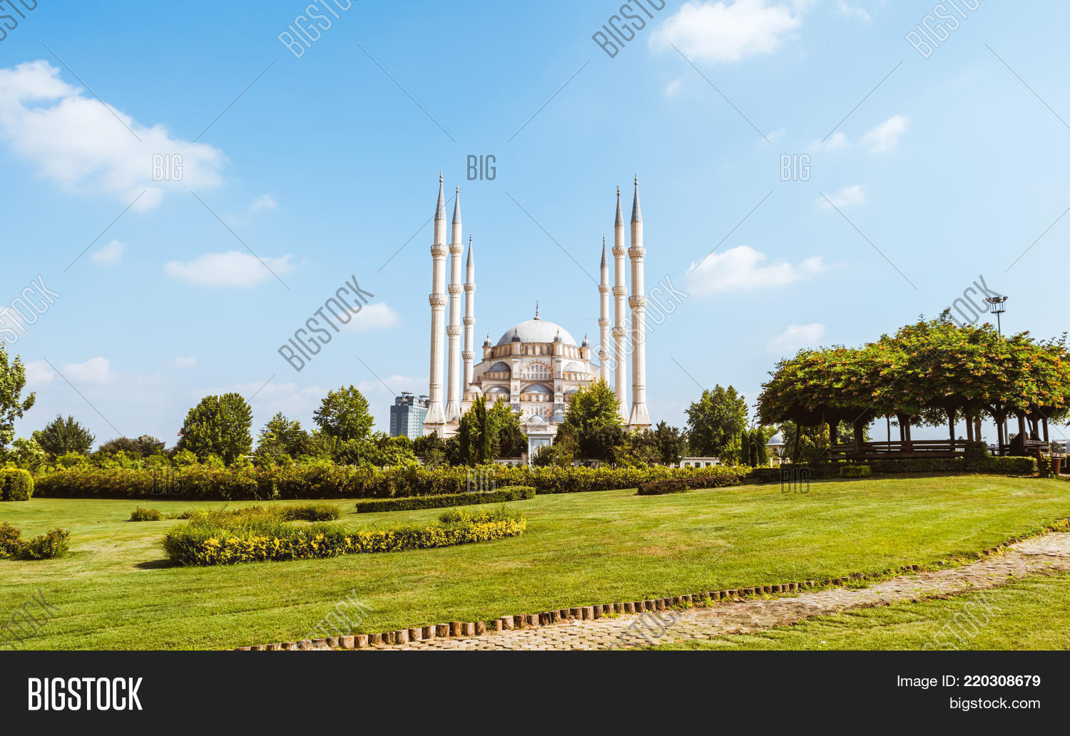 Image Preview
