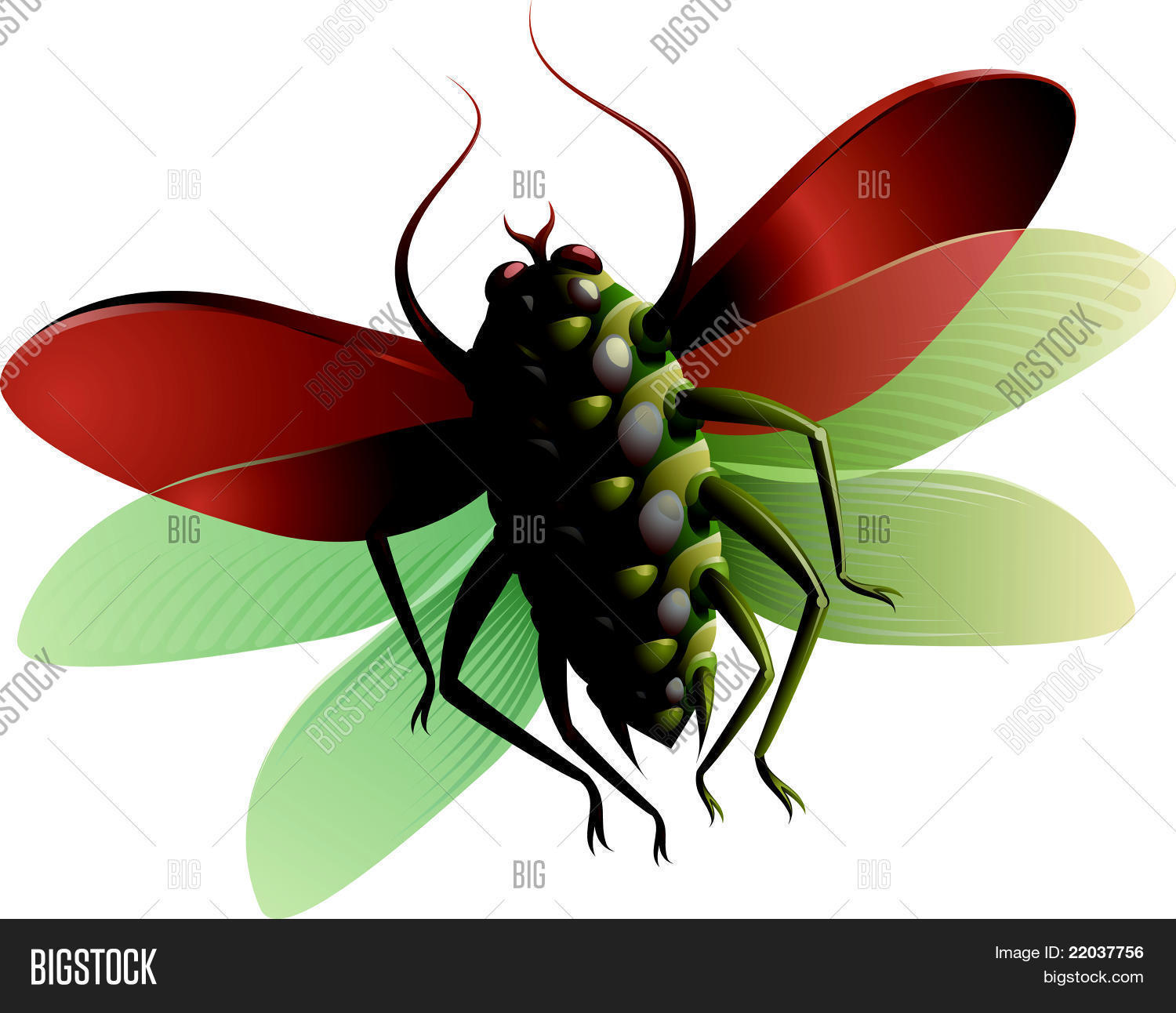 Image Preview