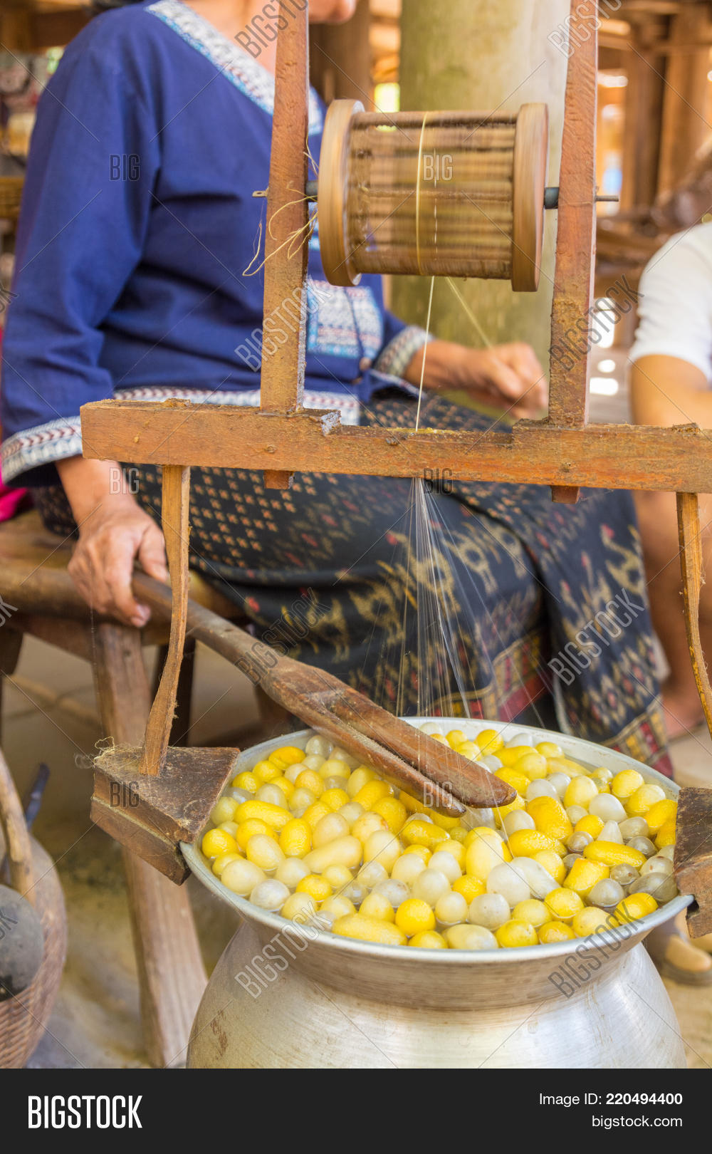 Silkworm Cocoon Boil Image & Photo (Free Trial) Bigstock